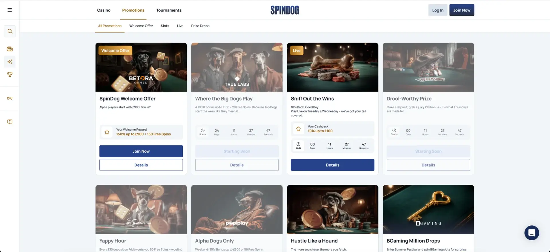 Bonuses and promotions at SpinDog casino at SpinDog casino